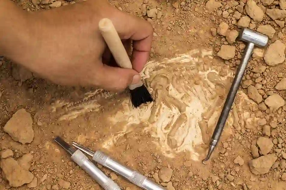 A Guide to Effective Archaeological Writing for Journals and Coursework