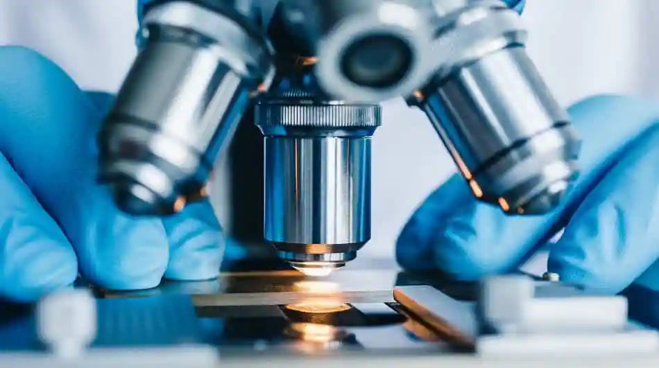 How To Write an Effective Figure Legend for a Laboratory Report