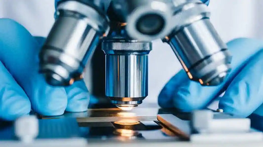 How To Write an Effective Figure Legend for a Laboratory Report