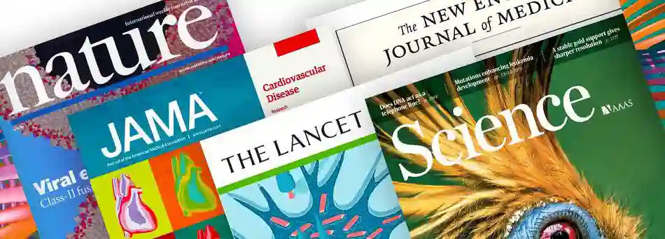 13 Examples of Supplementary Materials for Academic Journal Papers